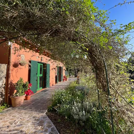 Villa El Lance Zumacal Firgas