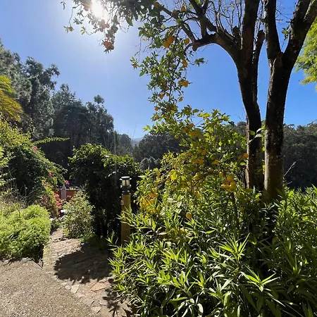 El Lance Zumacal Villa Firgas